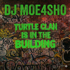 Mind Like Turtle Shell