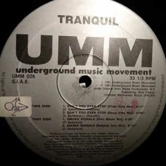 Ralphie Dee / Dino Blade /Tranquil ‎– Don't You Ever Stop (Flute Club Mix)