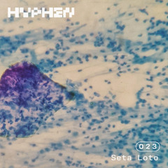 hyphen mix 023 - Seta Loto