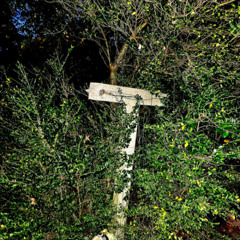 H0LY H0110WS Prod.Gxm