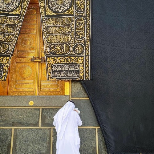 قُلْ إِنِّي لَن يُجِيرَنِي مِنَ اللَّهِ أَحَدٌ | سورة الجن | القارئ وديع اليمني