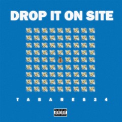 Drop It On Site - Tabares24
