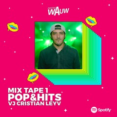 Mixtape 1 - Pop&Hits - Dj Cristian Leyv