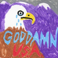 Goddamn USA
