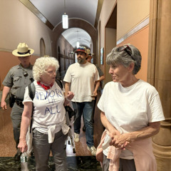 5 Arrested at Capitol over NY For All Act
