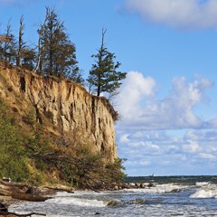 Life is like a piece of chicken box