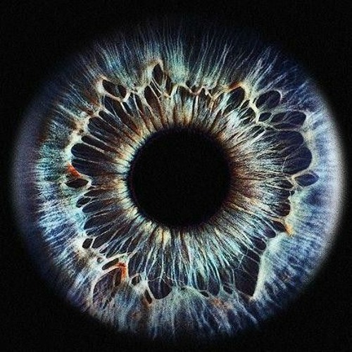 Diagnosis
