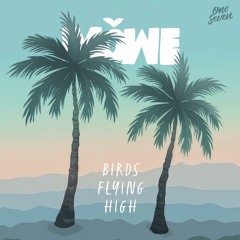 Birds Flying High (Radio Edit)