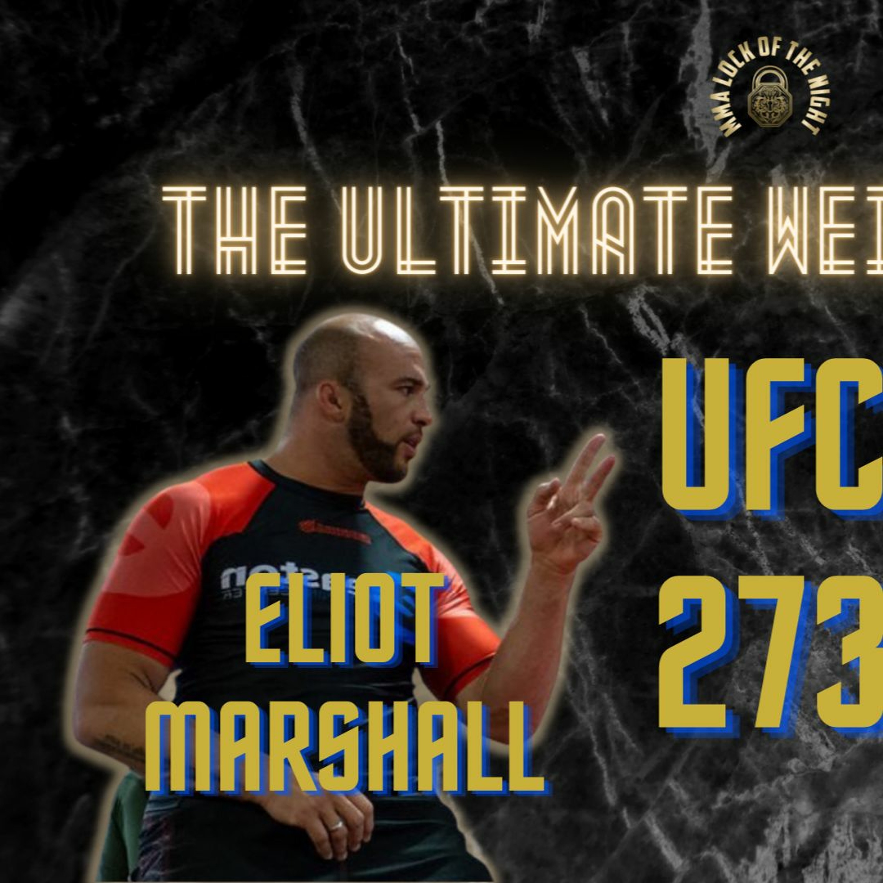 MMA Lock of the Night