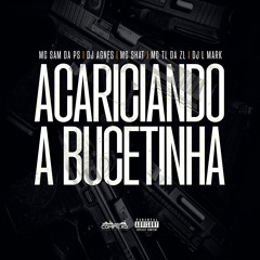 ACARICIANDO A BUCETINHA -  MC SAM DA PS, DJ AGNES, MC TL DA ZL & DJ L MARK