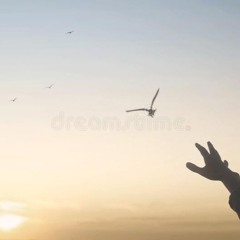 Positivity (Covered)