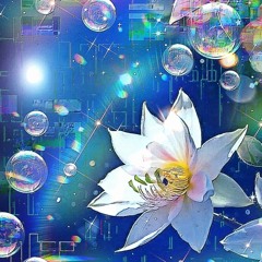 Shibuya Solitude 20250809demo