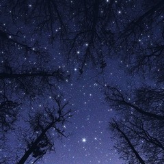 Bright Stars (Prod. Fantom Beats)