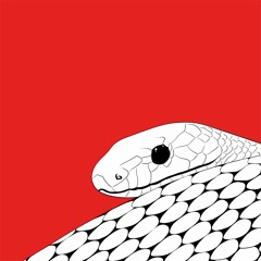 Spatial Awareness - Snakeoil [Hottwerk Records]