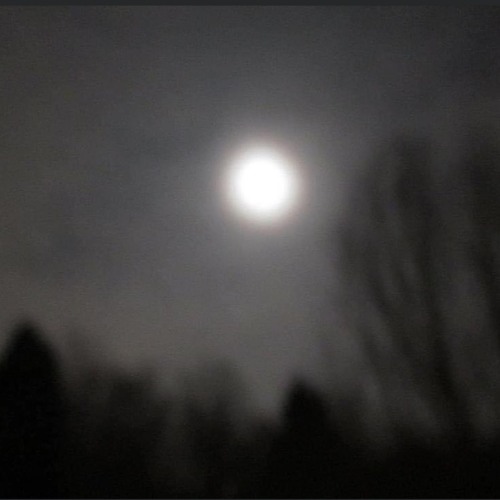 Opal Moon