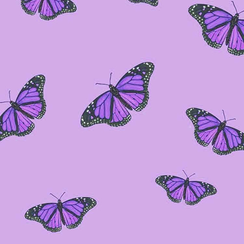 To The Bone//Edit Audio