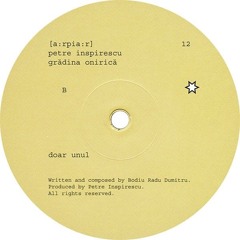 Petre Inspirescu - Doar Unul (Stefan Dichev's Probabil Doi Interpretation)
