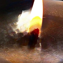 Psy Tek Zen II (Evolution Psychedelgick)