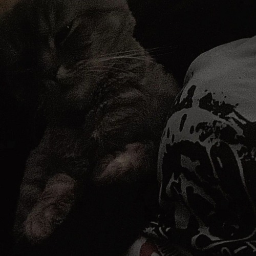 bad company by billie eilish ft isaac dunbar remake by AMIRAM