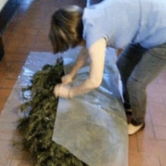 pinclo - lokiferg prod. draven (rare)