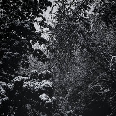 DXSOUT, QU1LEX - NEZAGORAMI