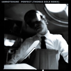 Perfect (Thomas Gold Remix)