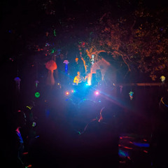 Chandler James DnB CCOA 2025