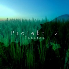 Projekt 12