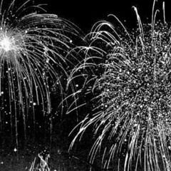 see you in the next year