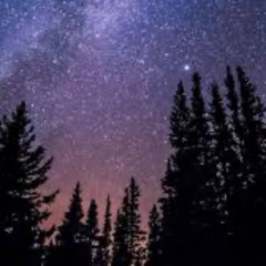 Under the Sky