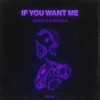 Jewelz & Sparks - If You Want Me
