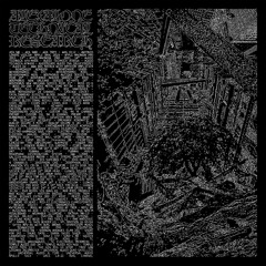 AMPED 10/27/23 MUST-HAVES