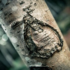 Timeless (Friendship)