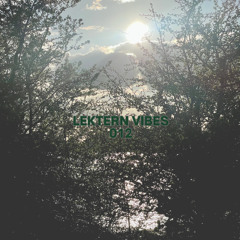 LEKTERN VIBES 012