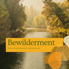 Bewilderment (live Recording)