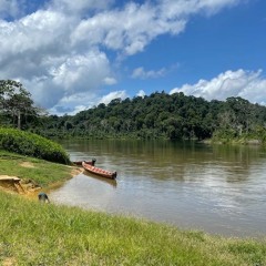 Survivors' Mixtape 23 x Party Zone