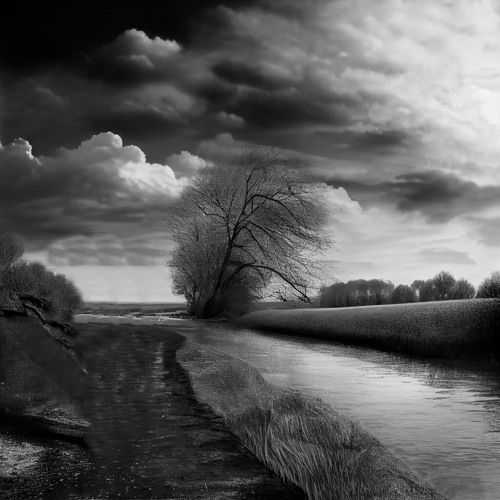 Clouds above the horizon