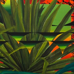 Southern Shores - Tropea