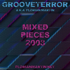 Grooveterror - Mixed Pieces 2008 (Part 7v8)