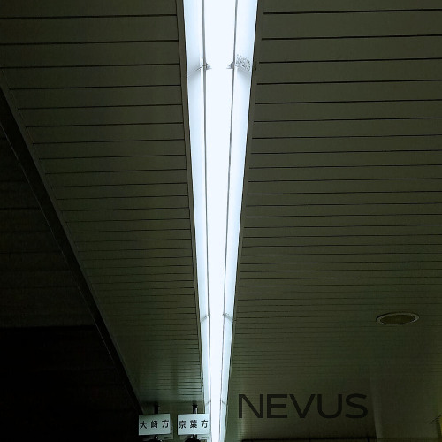 Nevus