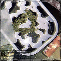 Is This Love? (Feat. Jayeff)