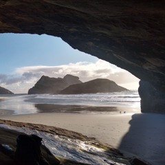 Neo Soul Sounds To Soothe A Sea Lion [june demo]