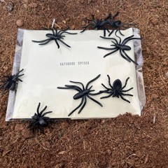 BATHROOM SPIDER - BATHROOM SPIDER (SIDE B excerpt)