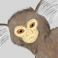 MARMOSET