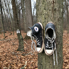 The Floor, The Ceiling, and Everything In Between