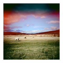 Cabin Presence (Demo)