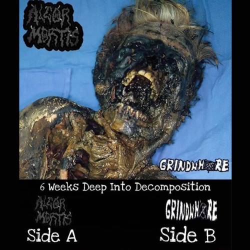 6 Weeks Deep Into Decomposition