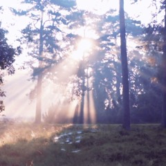 Premeditated | Prod. (jupiter)