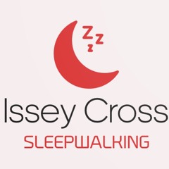 Issey Cross SleepWalking Remix Artist Competition Playlist