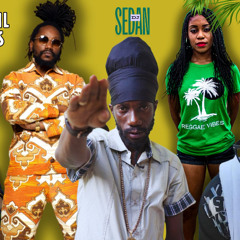 DJ Sedan - New Reggae Mix Jan 2025